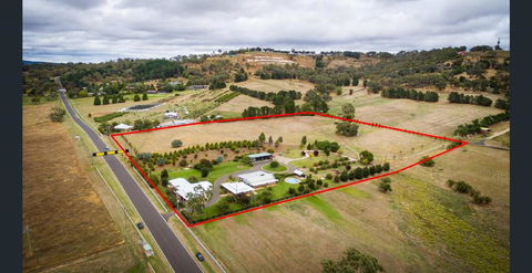505 CONROD STRAIGHT MOUNT PANORAMA - Local Tourism 0