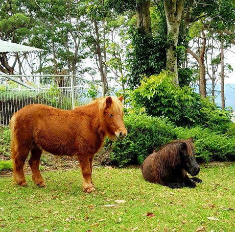 Aaronlee Retreat - Accommodation Australia 1