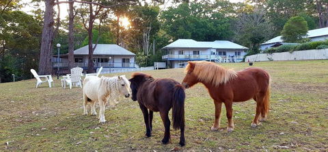 Aaronlee Retreat - Accommodation Australia 2