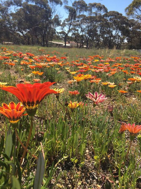 Acclaim Gateway Tourist Park - Accommodation Australia 2