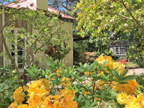 Adelaide Hills 'Camellia Cottage' - WiFi - Accommodation Australia 1