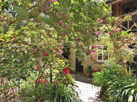 Adelaide Hills 'Camellia Cottage' - WiFi - Accommodation Australia 2