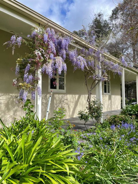 Fleetwood Cottage Bed And Breakfast - Local Tourism 4