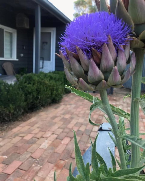 Fergusons Store - Local Tourism 3