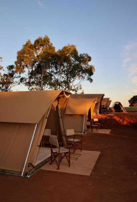 Glamping At Buckland Estate - Accommodation Australia 1