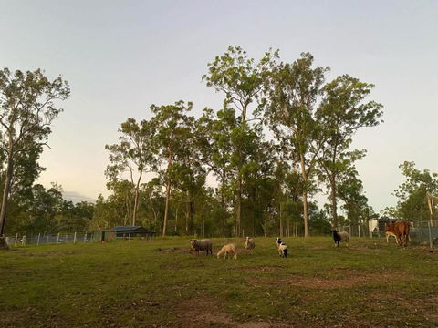 Gemmas Animal Farm By Tiny Away - Accommodation Australia 1