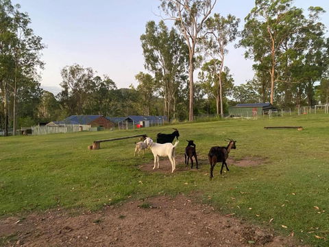 Gemmas Animal Farm By Tiny Away - Accommodation Australia 2