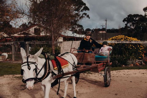 Gums N Roses By Tiny Away - Local Tourism 3