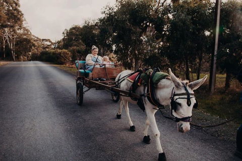 Gums N Roses By Tiny Away - Local Tourism 2