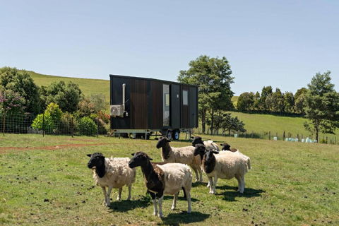 Hillside Hideout By Tiny Away - Accommodation Australia 2