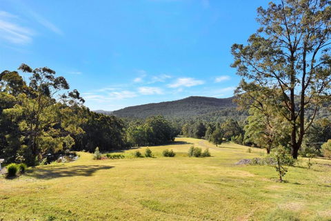 Hunter Valley Kangaroo Retreat With 60 Kangaroos - Accommodation Australia 1