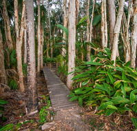 Agnes Palms Accommodation - Accommodation Australia