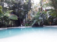 Book Eudlo Accommodation Vacations Accommodation Australia Accommodation Australia