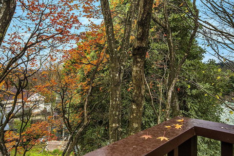 Allambee - Local Tourism 2