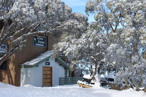 Alpine Retreat Mt Buller - Accommodation Australia 0