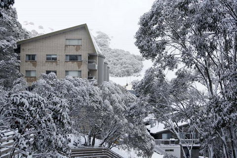 Alpine View Apartments - Accommodation Australia 0