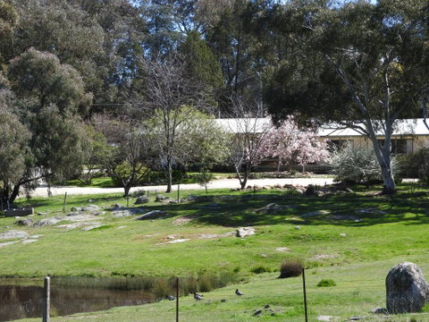Annies Holiday Units - Bed n Breakfasts 3