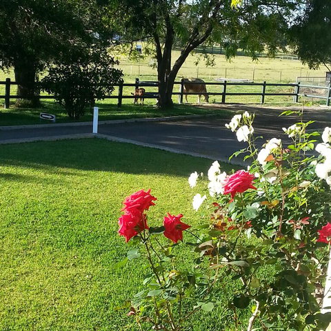 Appin Homestay B & B - Bed n Breakfasts 3