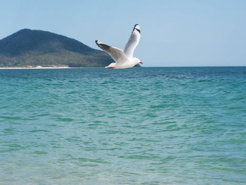 Architectural Design On The Beach - Accommodation Australia 1