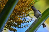 Book Karumba Accommodation Vacations Accommodation Australia Accommodation Australia