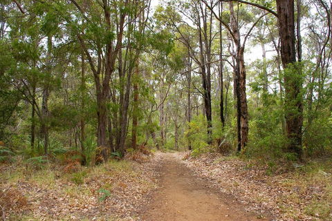 Ashleigh - Accommodation Australia 2