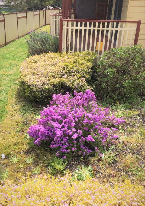 Marsden Court Apartments Now Incorporating Marsden Court And Sharonlee Strahan Villas - Australia Shopping 2