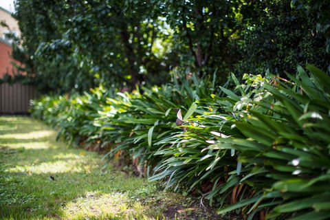 Merivale Motel - Accommodation Australia 2