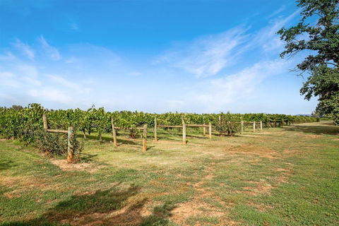Milawa Vineyard Views - Guesthouse 2 - Accommodation Australia 0