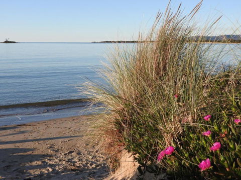 Moomba Holiday And Caravan Park - Accommodation Australia 1