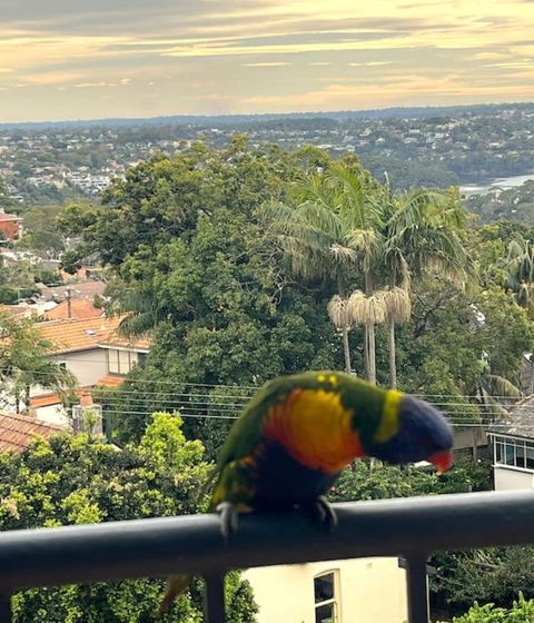 Mosman Views, 2bed, Parking, 15min Walk To Beach - Local Tourism 1