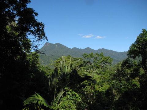 Mossman Gorge Bed And Breakfast - Accommodation Australia 0
