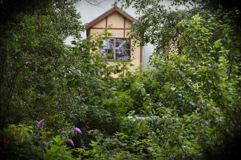 Mountain Lodge - Accommodation Australia 2