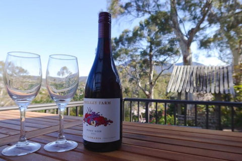 Mountains And Treetops Retreat - Nature Getaway - Bed n Breakfasts 2