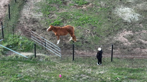 Myrtle At Lexington Park - Local Tourism 1