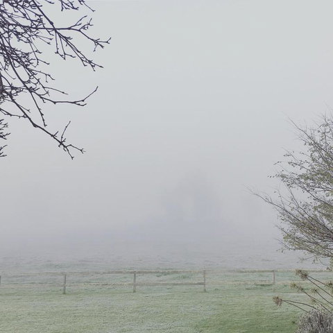 Myrtlemae Farm - Bed n Breakfasts 1