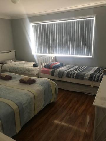 Mystic Blue And Green Meadow - Australia Shopping 3