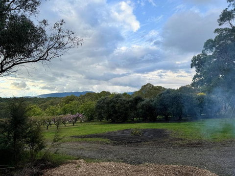 Orange 1 By Tiny Away - Australia Shopping 2