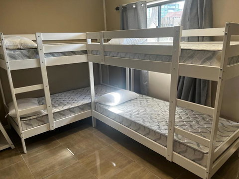 Palm Hamilton Backpacker - Australia Shopping 3