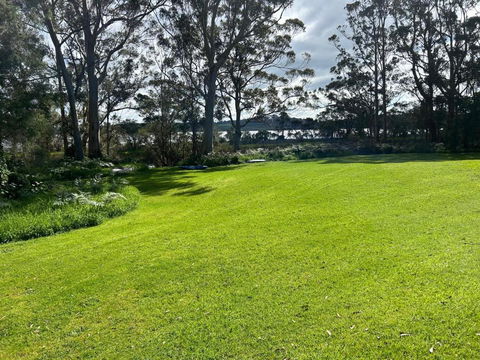 Peacock - Local Tourism 0