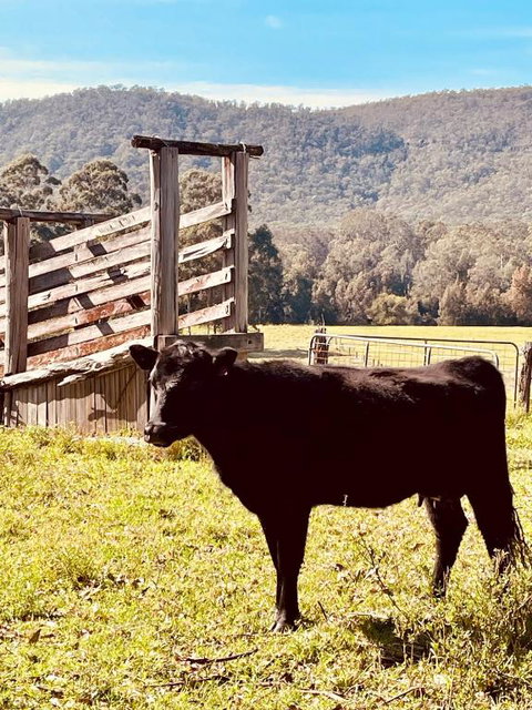 Peppercorns Riverside Farm Stay - Bed n Breakfasts 0