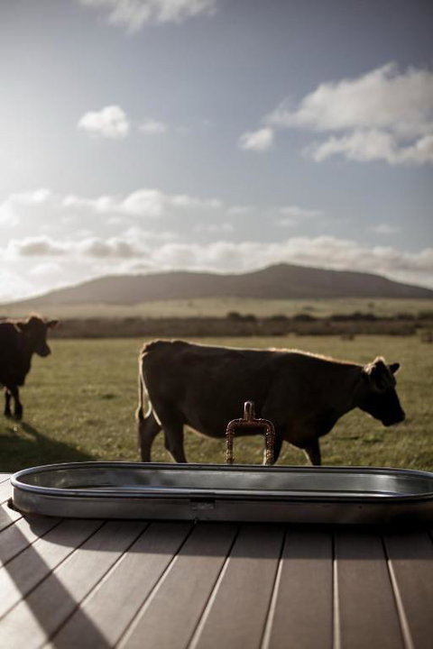 Peter The Tiny Cabin In Esperance - Australia Shopping 1