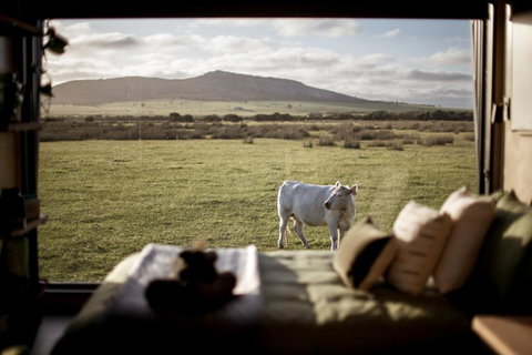 Peter The Tiny Cabin In Esperance - Australia Shopping 0