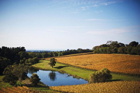 Port Phillip Estate - Accommodation Australia 2