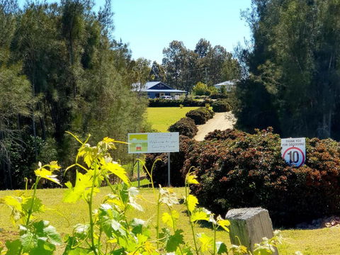 Red Door Collective - RDC Vineyard Estate, Luxury Adult Only Stay - Accommodation Australia 0
