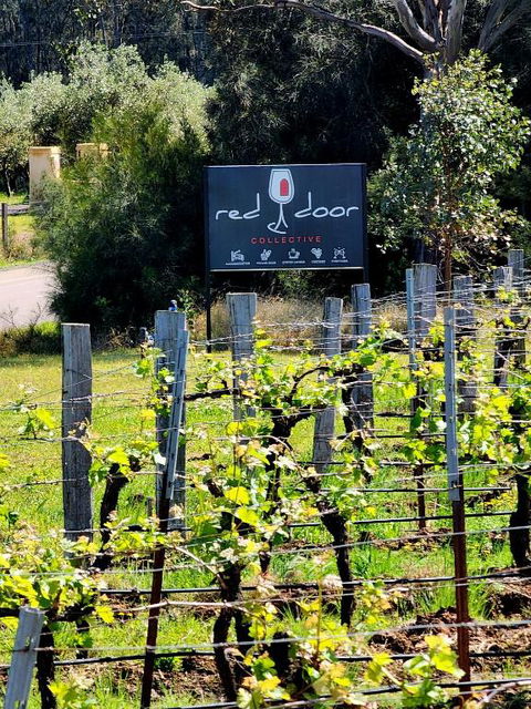 Red Door Collective - RDC Vineyard Estate, Luxury Adult Only Stay - Accommodation Australia 1