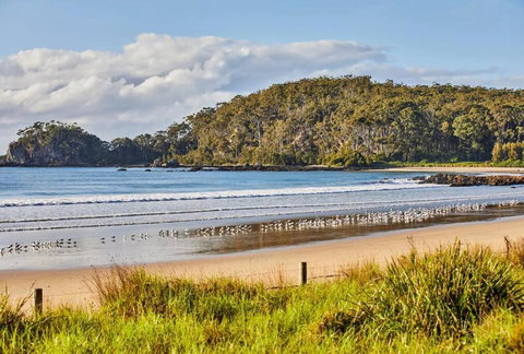 Rare Broulee Beachfront House - Local Tourism 3