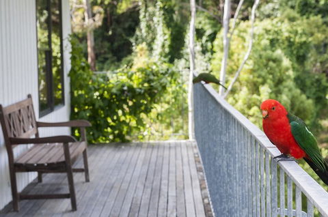 At Riverside - Accommodation Australia 3