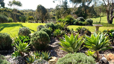 Austiny Bed And Breakfast Victor Harbor - Local Tourism 2