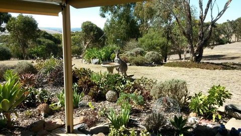 Austiny Bed And Breakfast Victor Harbor - Local Tourism 3