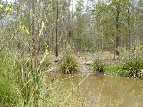 Back To The Bush - Local Tourism 2